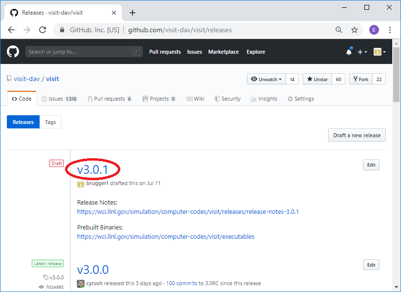 ../_images/Release-GitHubDelete1.png